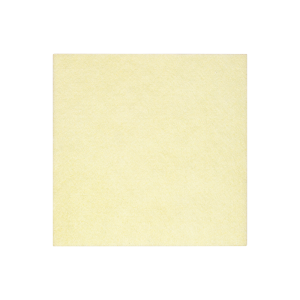 Curativo de Fibra Gelificante  Antimicrobiano Exufiber Ag+ 15x15 Unidade