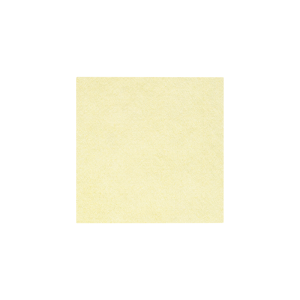 Curativo de Fibra Gelificante  Antimicrobiano Exufiber Ag+ 5x5 Unidade